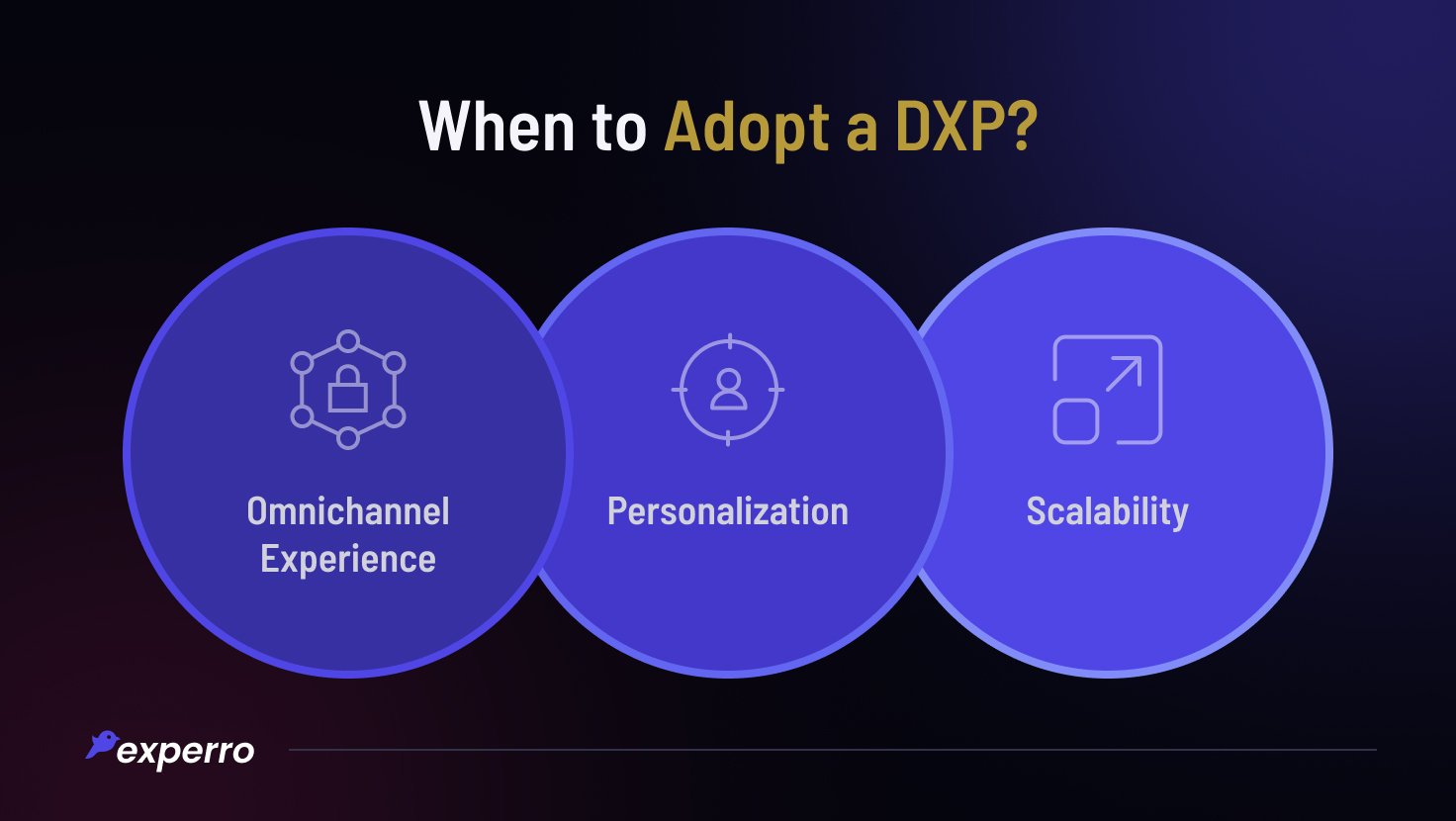 When to Adopt a DXP?