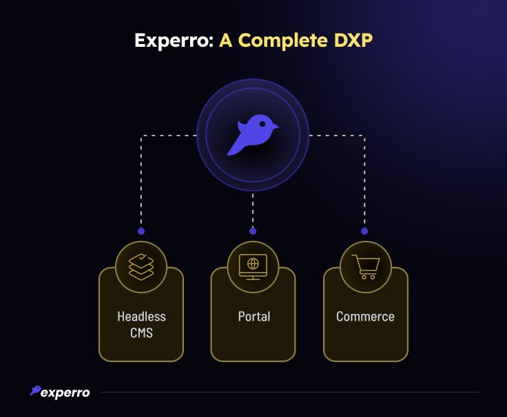Experro: A Complete DXP
